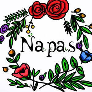 logo napas